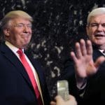 Newt Gingrich coins “Little Trump”