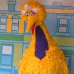 Trump budget chief smears Big Bird to justify cutting public TV for rural kids