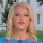 Kellyanne Conway returns to Fox to attack Hillary Clinton for not doing Trump’s job