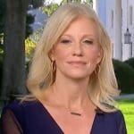 Kellyanne Conway defends Trump by flat-out lying about his neglect of fallen soldiers