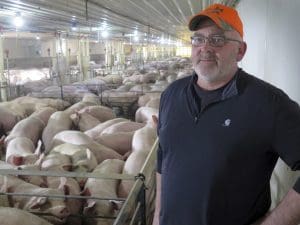 Southwest Minnesota hog producer Randy Spronk is concerned a U.S. exit from NAFTA would hurt state farmers, here on his farm on Dec. 4, 2017. Minnesota exports more than a billion and a half dollars worth of agricultural products to Canada and Mexico a year.