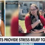 Fox News spends more time on therapy goats than new Cohen scandal
