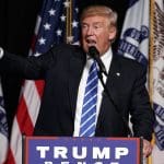 Fox News: Trump campaign threw millions of dollars ‘into a wood chipper’