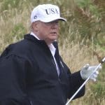 Trump’s golf course illegally chopping down and dumping protected trees