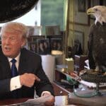 Trump administration launches attack on law that saved bald eagles