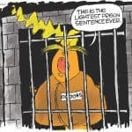 Cartoon: Impeachment Light?