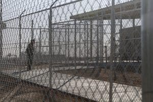 Immigration Border Detentions