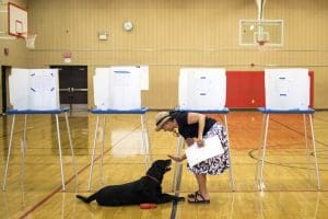 Wyoming primary elections, voter