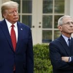 White House: ‘Ridiculous’ to think Trump would fire Fauci after he hinted he would