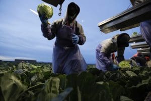 Immigrants, farmworkers