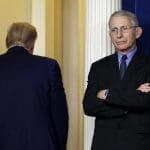 Trump wants to fire Dr. Fauci — who is way more popular than him