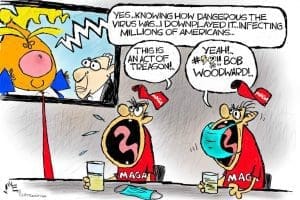 Cartoon: Woodward Strikes Again