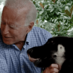 RNC spokesperson attacks fundraiser for rescue dogs in failed attempt to diss Biden