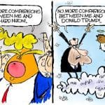 Cartoon: Trumping Nixon