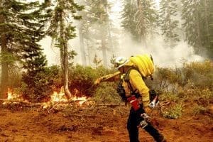 California firefighter with hose at forest fire