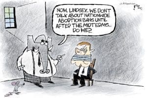 Cartoon: Ixnay abortionyay anbay