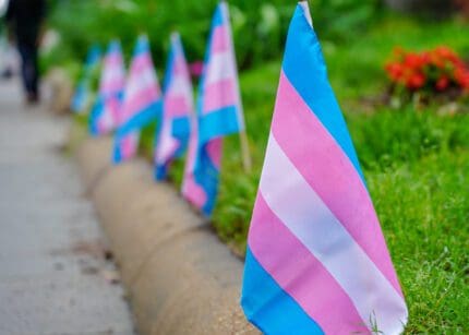 Trans pride flags on a curb in Washington, D.C.